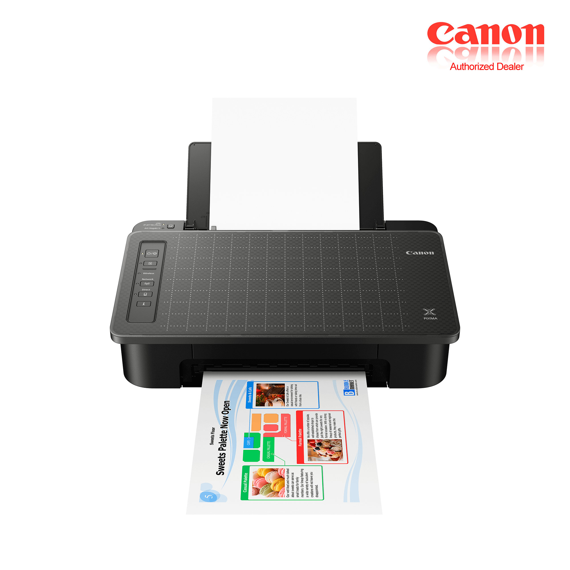 Canon PIXMA TS307 Wireless Printer